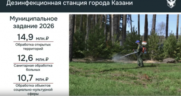 В Казани ожидают рост грызунов и клещей &mdash; на обработки направят на 28% больше средств