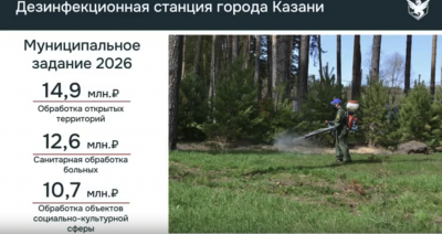 В Казани ожидают рост грызунов и клещей &mdash; на обработки направят на 28% больше средств