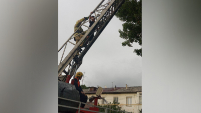 В Есике спасатели сняли с дерева мужчину
