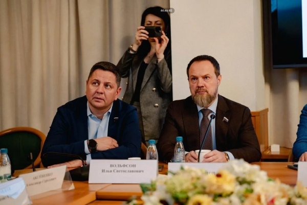 Депутат Илья Вольфсон предложил ввести понятие &laquo;техническая вода&raquo; для малых поселков