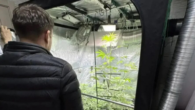 Полицейские изъяли четыре килограмма наркотиков у казанца, который выращивал их в своей квартире 10/04/2026 &ndash; Новости
