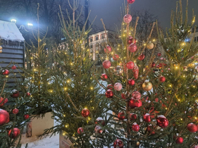 В регионах УрФО незаконно вырубили 95 новогодних елей: браконьеры идут на запад