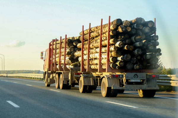 Директора свердловской фирмы будут судить за контрабанду леса на 8 млн рублей