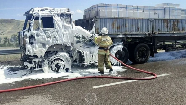 Грузовик загорелся на трассе в области Жетысу