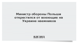 Министр обороны Польши открестился от воюющих на Украине наемников