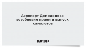 Аэропорт Домодедово возобновил прием и выпуск самолетов