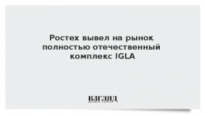 Ростех вывел на рынок полностью отечественный комплекс IGLA