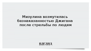 Мизулина возмутилась безнаказанностью Джигана после стрельбы по людям