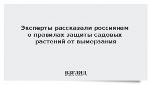 Эксперт рассказала россиянам о правилах защиты садовых растений от вымерзания