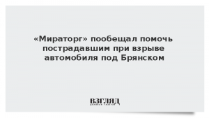 «Мираторг» пообещал помочь пострадавшим при взрыве автомобиля под Брянском