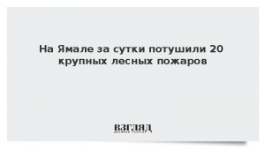 На Ямале за сутки потушили 20 крупных лесных пожаров