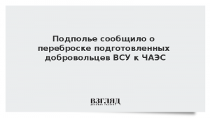 Подполье сообщило о переброске подготовленных добровольцев ВСУ к ЧАЭС