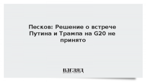 Песков: Решение о встрече Путина и Трампа на G20 не принято