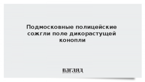 Подмосковные полицейские сожгли поле дикорастущей конопли