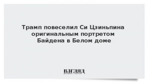 Трамп повеселил Си Цзиньпина оригинальным портретом Байдена в Белом доме