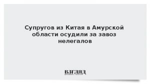 Супругов из Китая в Амурской области осудили за завоз нелегалов