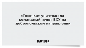 «Тосочка» уничтожила командный пункт ВСУ на добропольском направлении