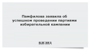 Памфилова заявила об успешном проведении партиями избирательной кампании