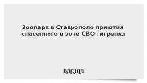 Зоопарк в Ставрополе приютил спасенного в зоне СВО тигренка