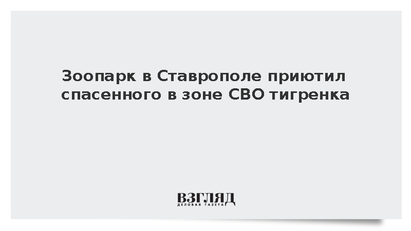 Зоопарк в Ставрополе приютил спасенного в зоне СВО тигренка