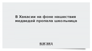 В Хакасии на фоне нашествия медведей пропала школьница