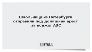Школьницу из Петербурга отправили под домашний арест за поджог АЗС