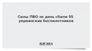 Силы ПВО за день сбили 55 украинских беспилотников