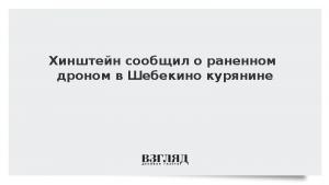 Хинштейн сообщил о раненном дроном в Шебекино курянине