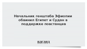 Начальник генштаба Эфиопии обвинил Египет и Судан в поддержке повстанцев