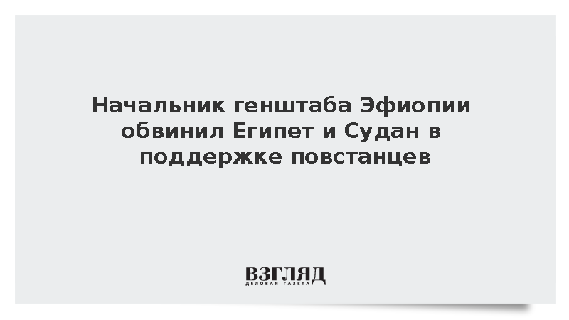 Начальник генштаба Эфиопии обвинил Египет и Судан в поддержке повстанцев