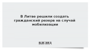 В Литве решили создать гражданский резерв на случай мобилизации