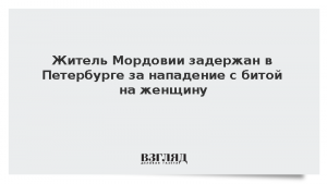 Житель Мордовии задержан в Петербурге за нападение с битой на женщину