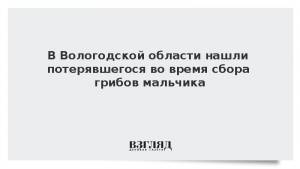 В Вологодской области нашли потерявшегося во время сбора грибов мальчика