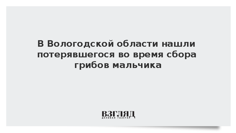 В Вологодской области нашли потерявшегося во время сбора грибов мальчика