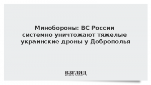 Минобороны: ВС России системно уничтожают тяжелые украинские дроны у Доброполья