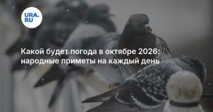 Какой будет погода в октябре 2026: народные приметы на каждый день