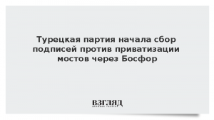 Турецкая партия начала сбор подписей против приватизации мостов через Босфор