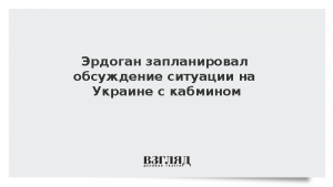 Эрдоган запланировал обсуждение ситуации на Украине с кабмином