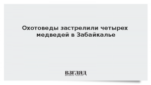 Охотоведы застрелили четырех медведей в Забайкалье