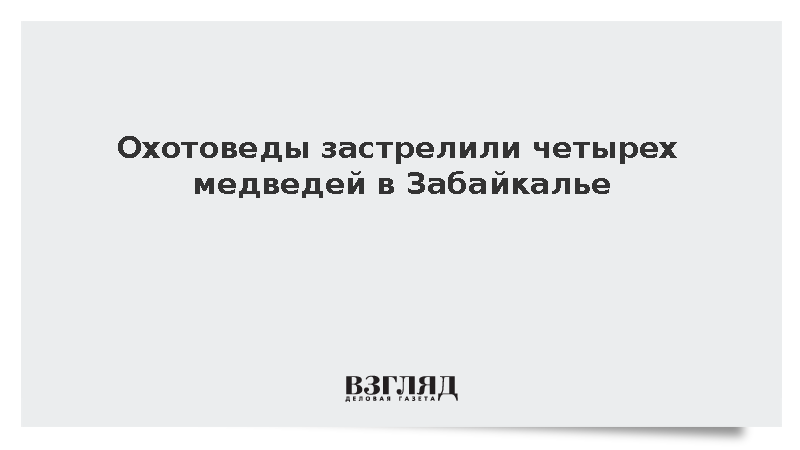 Охотоведы застрелили четырех медведей в Забайкалье
