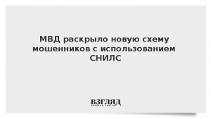 МВД раскрыло новую схему мошенников с использованием СНИЛС