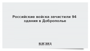 Российские войска зачистили 94 здания в Доброполье