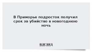 В Приморье подросток получил срок за убийство в новогоднюю ночь