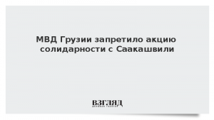 МВД Грузии запретило акцию солидарности с Саакашвили