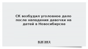 СК возбудил уголовное дело после нападения девочки на детей в Новосибирске