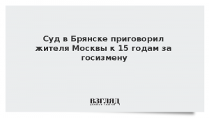 Суд в Брянске приговорил жителя Москвы к 15 годам за госизмену