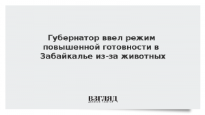 Губернатор ввел режим повышенной готовности в Забайкалье из-за животных