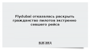 Flydubai отказалась раскрыть гражданство пилотов экстренно севшего рейса