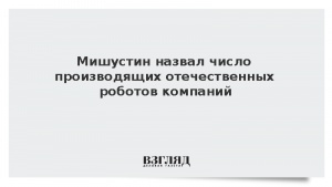 Мишустин назвал число производящих отечественных роботов компаний