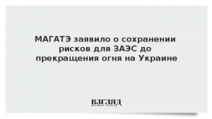 МАГАТЭ заявило о сохранении рисков для ЗАЭС до прекращения огня на Украине